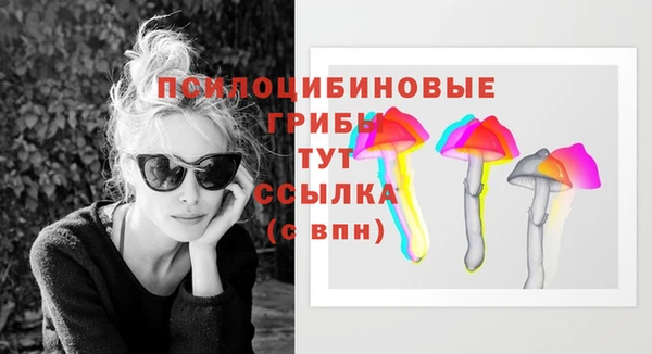 мет Абаза