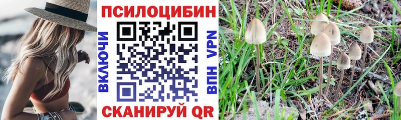 Псилоцибиновые грибы прущие грибы Абинск